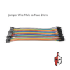 Jumper Wire Male toMale M2M 20cm in Sri Lanka