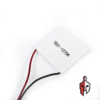 Thermoelectric Peltier Cooler TEC1-12706 in Sri Lanka