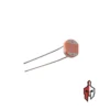 LDR Sensor 5mm in Sri Lanka