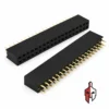 40-Pin Double Row Female Header 2.54mm in Sri Lanka